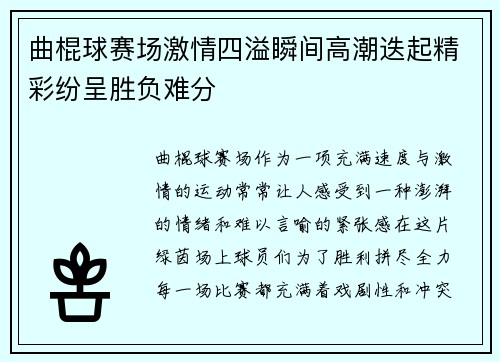 曲棍球赛场激情四溢瞬间高潮迭起精彩纷呈胜负难分