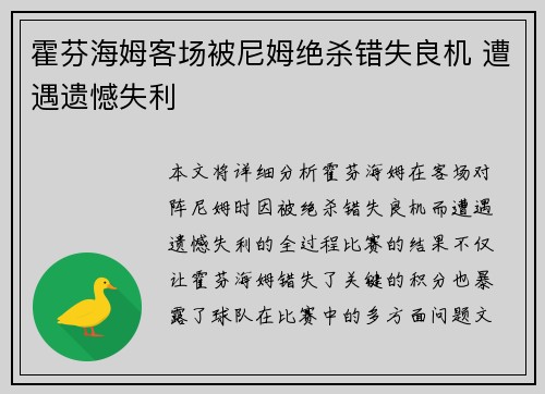 霍芬海姆客场被尼姆绝杀错失良机 遭遇遗憾失利
